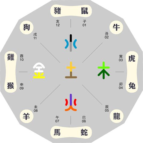 生肖 五行屬性|十二生肖五行查詢，屬相與五行查詢，屬相五行查詢流。